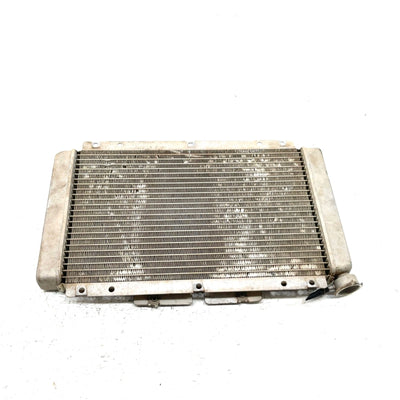 06-09 Yamaha Rhino 450 YXR450FA 4x4 OEM Radiator  5UG-E2461-00-00 XY2