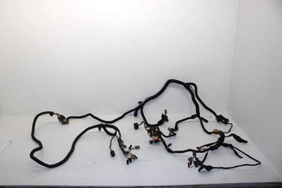 1999 Ski-doo Formula Iii 600 Oem Main Wire Harness SS29