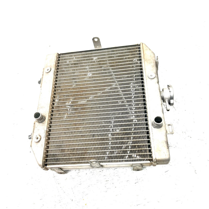01-04 Honda Foreman Rubicon 500 TRX500FA 4x4 OEM Radiator  19010-HN2-505 AH93