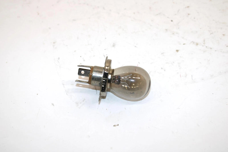 Polaris Oem Headlight Bulb 4030028 Q729