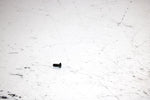 2001 Ski-doo Mxz 800 Oem PTO Side Set Screw 404161928 SS19