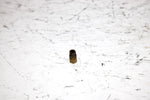 2001 Ski-doo Mxz 800 Oem #500 Main Jet 404108200 SS19