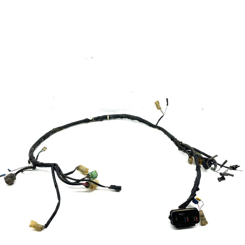2002 Honda Rancher 350 OEM Main Wire Harness 32100-HN5-670 AH47