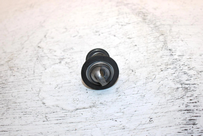 1999 Polaris 500 Xc Oem Thermostat 7052232 7052267 SP28