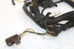 1999 Ski-doo Formula Iii 600 Oem Main Wiring Harness SS108