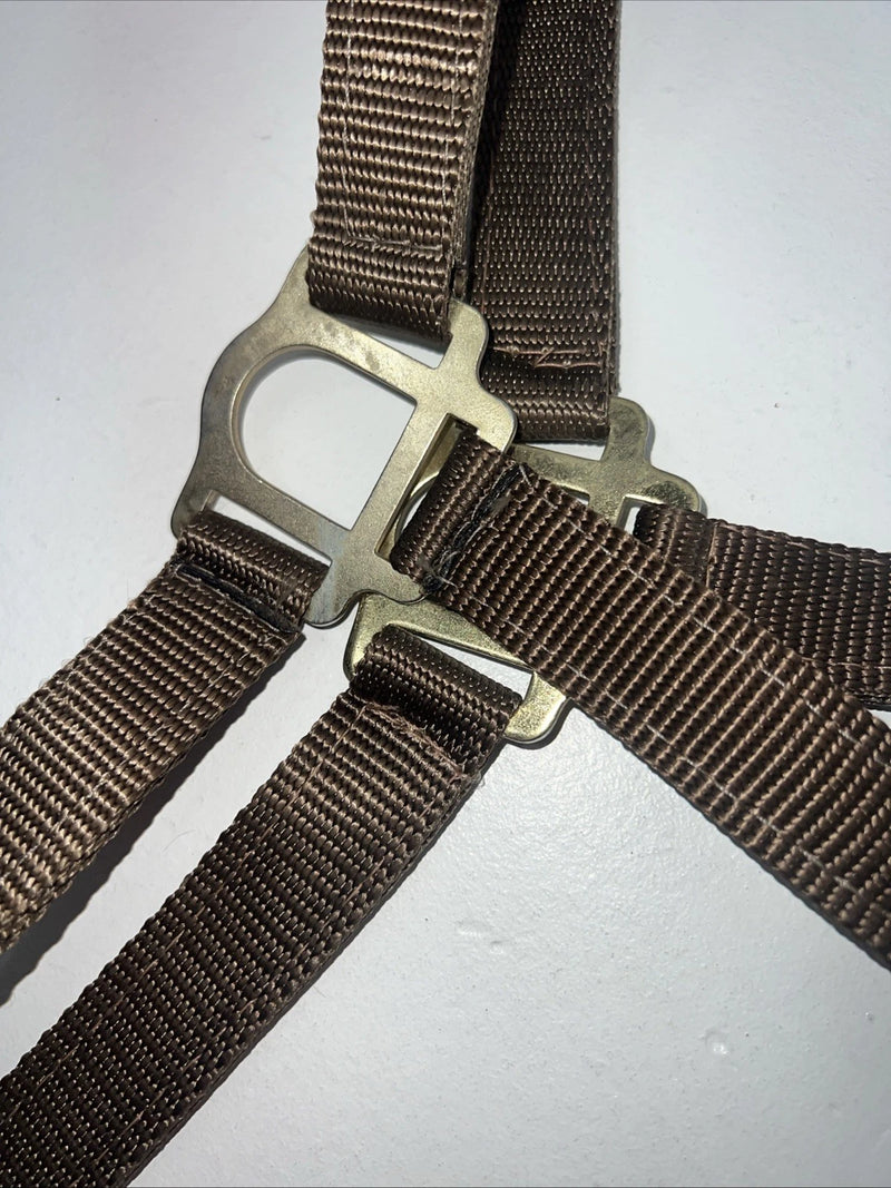 New Brown Nylon Full Horse Halter Gold Buckles NN-600