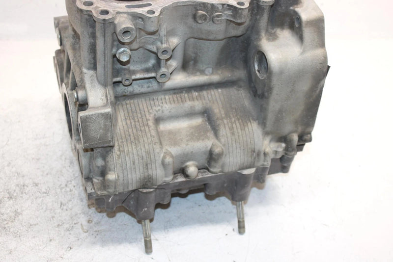 08 Arctic Cat Tz1 Touring Oem Crankcase 3007-707 SAS14