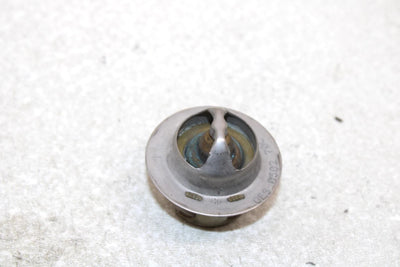 10 Polaris Fst Iq Touring Oem Thermostat 0454114 SP194
