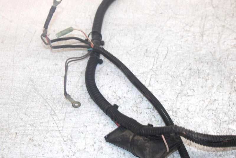 2004 Polaris Trail Boss 330 Oem Main Wire Harness 2461221 AP117