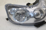 10 Polaris Turbo Lx Oem Headlight Head Lamp 2410397 B262
