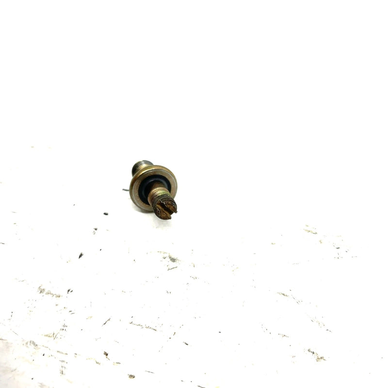 00-06 Honda Rancher 350 TRX350FM 4x4 OEM Clutch Adjuster Bolt 22841-HC4-000 AH47