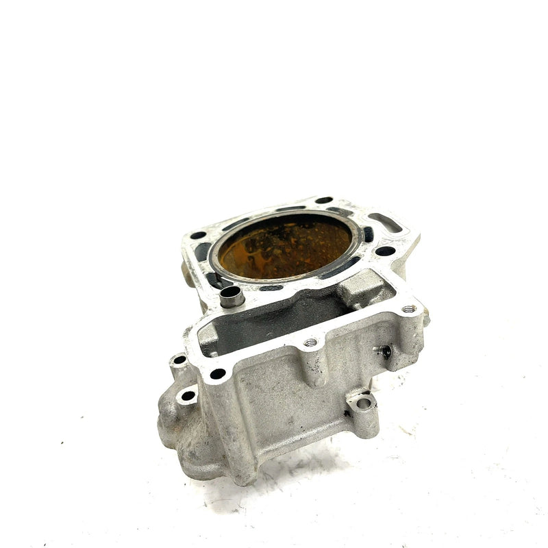 05-13 Kawasaki Brute Force 650 4x4 OEM Rear Cylinder 11005-0600 AK34