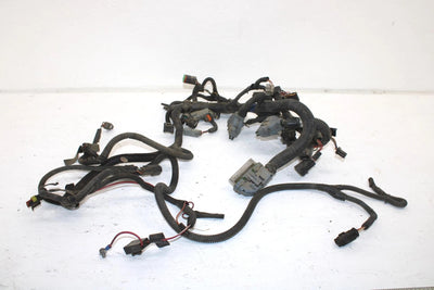 Ski-doo Oem Main Wiring Harness 515176427 B112