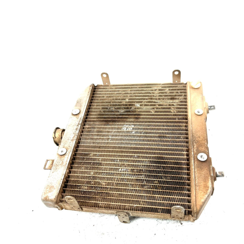 01-04 Honda Foreman Rubicon 500 TRX500FA 4x4 OEM Radiator  19010-HN2-505 AH86