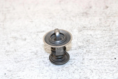 1996 Ski-doo Formula Ss Oem Thermostat 420922519 SS7