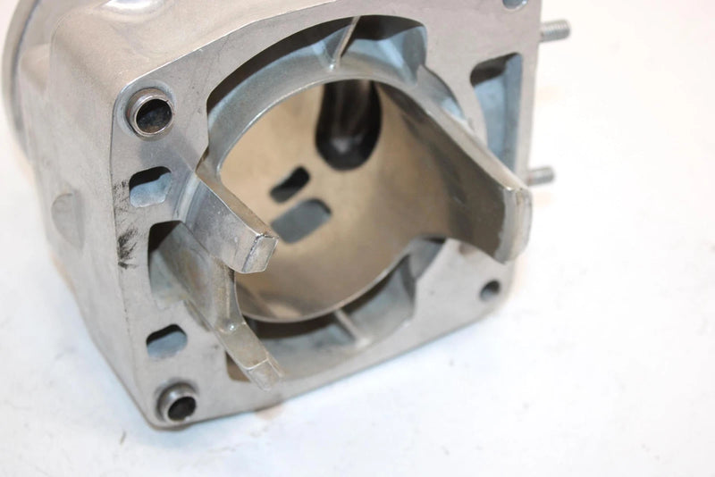 07 Arctic Cat M1100 Efi 153 OEM 90mm Cylinder Bore 3007-243 SA308