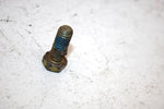 93 Arctic Cat Ext 550  Efi Oem Lower Gear Bolt And Washer 8012-222 0124-091 SAS1
