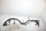 06 Arctic Cat Firecat 700  Efi Oem Main Wire Harness 1686-271 SAS5