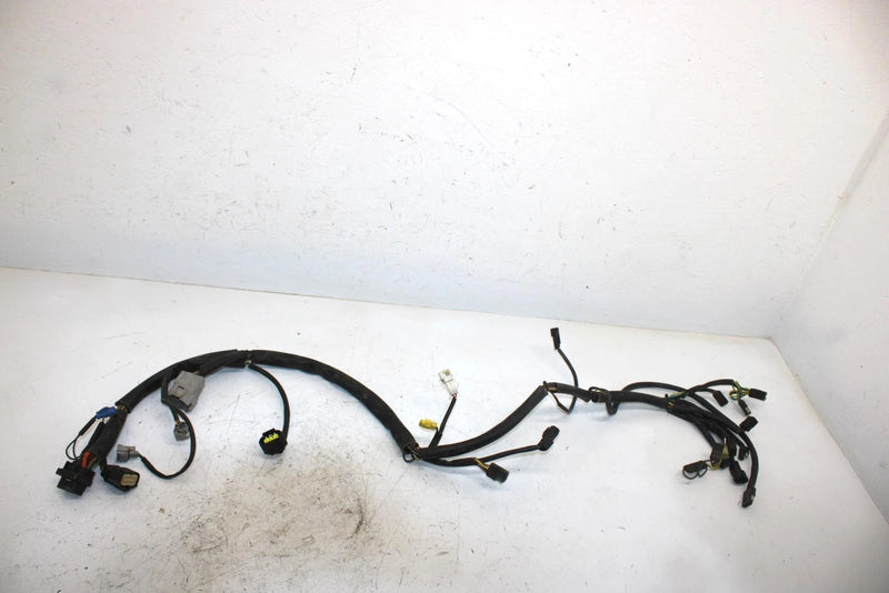 06 Arctic Cat Firecat 700  Efi Oem Main Wire Harness 1686-271 SAS5
