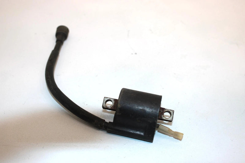87 Yamaha  Champ 100 Oem Ignition Coil Assy 2JN-82310-M0-00 4RP-82310-26-00 AYS