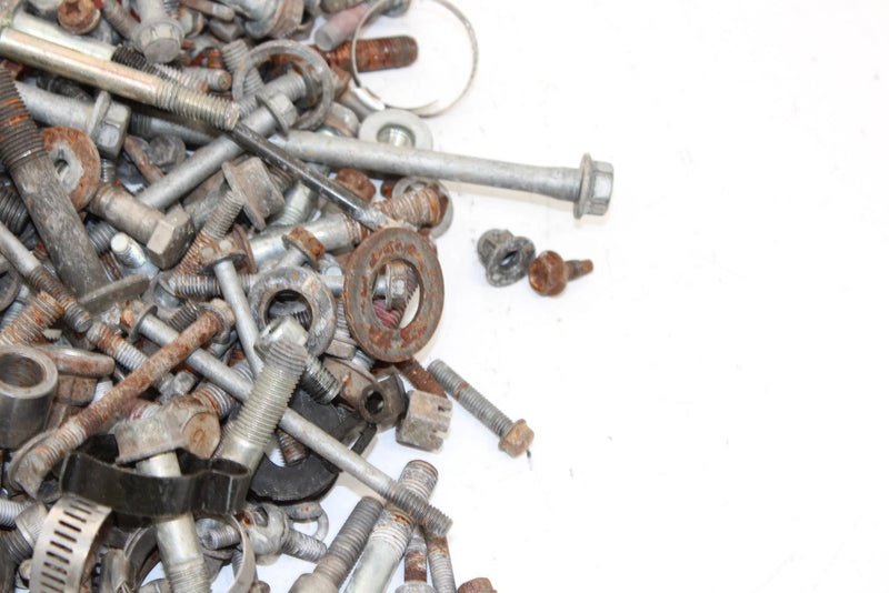 2004 Kawasaki Kfx 700 Oem Nut Bolt Spacer Hardware Kit AK30