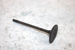 10 Arctic Cat 450 Efi  Oem Intake Valve 0809-263 AA18 