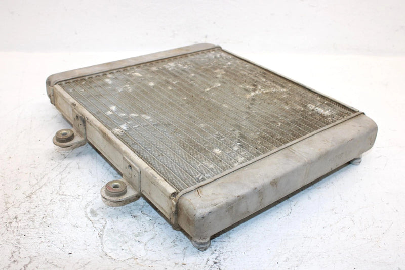 2006 Polaris Sportsman 500 Oem Radiator 1240152 1241477 AP183