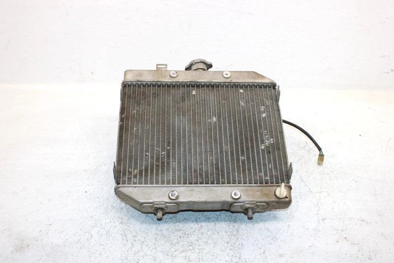 2002 Honda Foreman Rubicon 500 Oem Radiator And Fan 19030-HN2-013 AH53