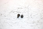 2001 Ski-doo Mxz 800 Oem Carb Cap Screw Pair 404161923 SS19