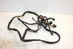 2002 Arctic Cat Zr 500 Cc Oem Main Wire Harness 0686-748 SA4