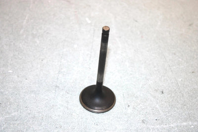 05 Yamaha  Bruin  4wd Hunter  Oem Intake Valve 1UY-12111-01-00 AY38