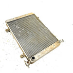 06-09 Polaris Ranger 700 6x6 EFI OEM Radiator 1240286 XP7