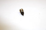 01 Polaris Sportsman 400 Carburetor Needle Screw 3130524 AP113