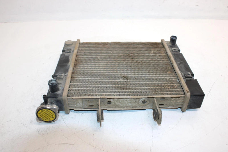 2005 Bombardier Rally 175 Oem Radiator A19100179000 AB8