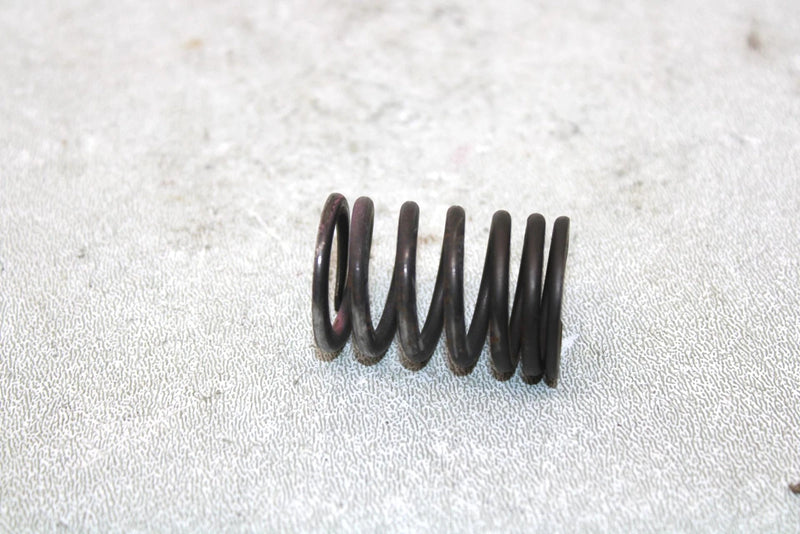 2001 Yamaha  Raptor 660r Oem Exhaust Valve Spring 5LP-12114-00-00 AY33