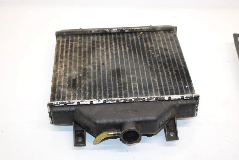 95 Polaris Xplorer 400 Oem Radiator And Screen 1240015 5431760 AP46