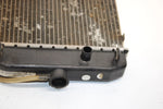 10 Arctic Cat Atv 700 H1 Efi 4x4 Automatic  Oem Radiator 0413-205 AA10