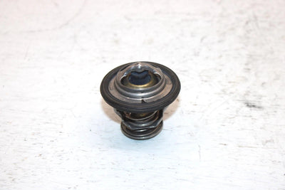 2019 Honda Trx500fe2ac Oem Thermostat 19300-HN8-305 AH12