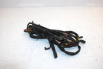 96 Arctic Cat Powder Special 580 Ext Oem Main Wire Harness 0686-333 SAS11