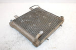 2001 Polaris Sportsman 500 Ho Oem Radiator 1240045 1240533 AP88