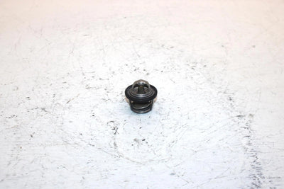 2005 Arctic Cat 500 4x4 Oem Thermostat 3413-012 AA1
