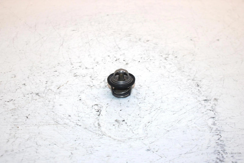 2005 Arctic Cat 500 4x4 Oem Thermostat 3413-012 AA1