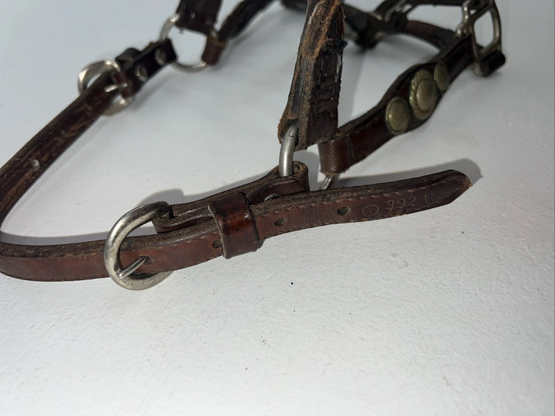 New Circle S Leather Yearling Show Halter Silver Buckles 3C-14