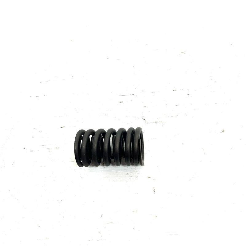 01-08 Honda Sportrax 250 TRX250 OEM Valve Spring Set 14761-HN6-000 AH83