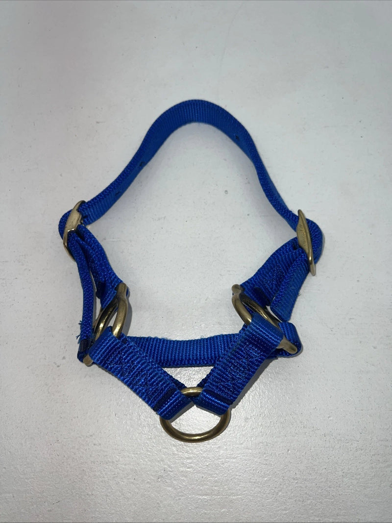 New Fabtron Blue Nylon Sheep Halter #NP121-2 3C-19