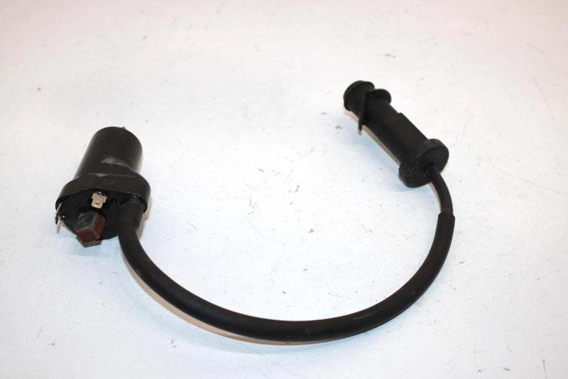 10 Arctic Cat Atv 700 H1 Efi 4x4 Automatic  Oem Ignition Coil 0824-043 AA10