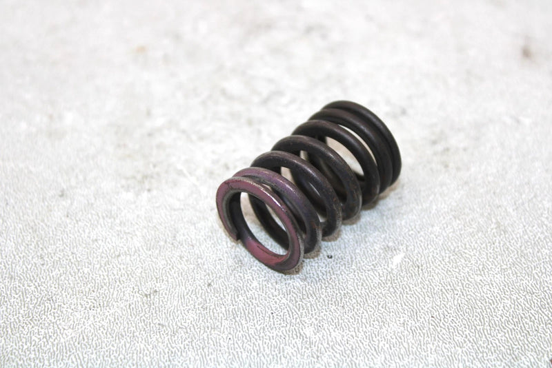 2001 Yamaha  Raptor 660r Oem Exhaust Valve Spring 5LP-12114-00-00 AY33