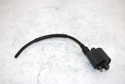 96 Suzuki King Quad 300 Ltf4wdx Oem Ignition Coil 33410-01X50 AS21