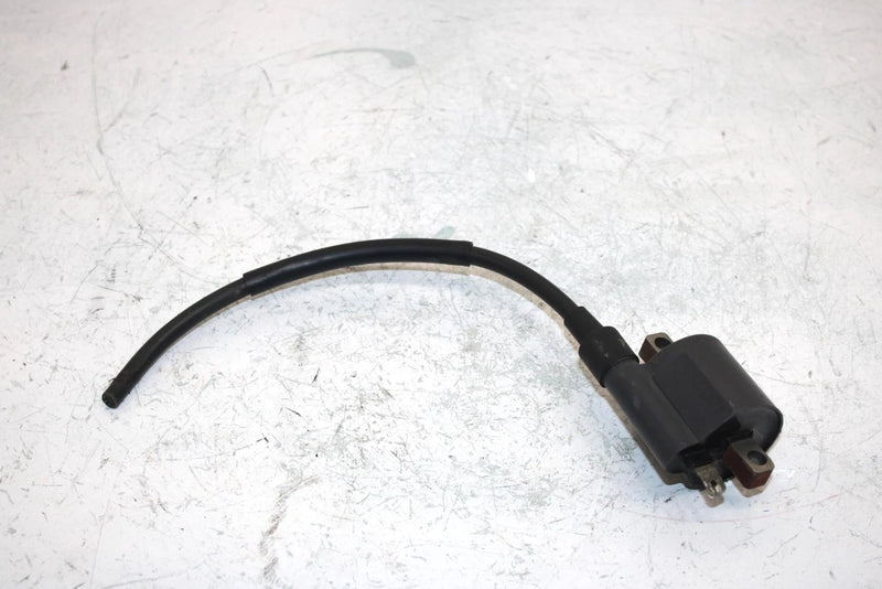 96 Suzuki King Quad 300 Ltf4wdx Oem Ignition Coil 33410-01X50 AS21