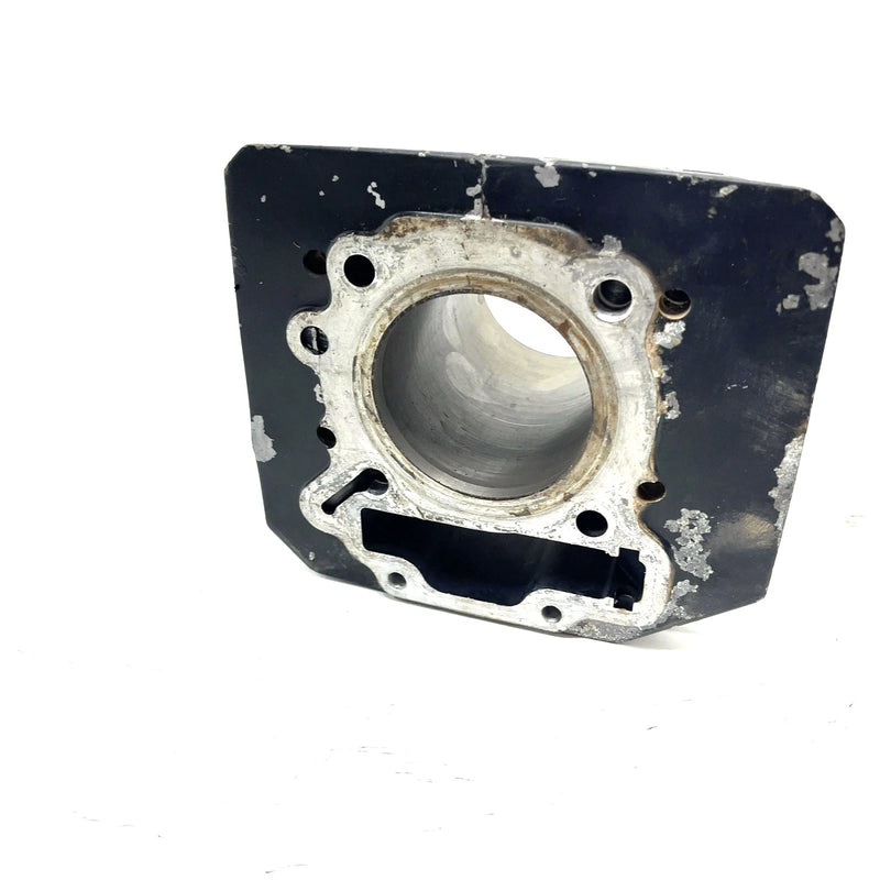 86-87 Honda FourTrax 200 TRX200SX 2x4 OEM 65mm Cylinder 12100-HB3-000 AH91